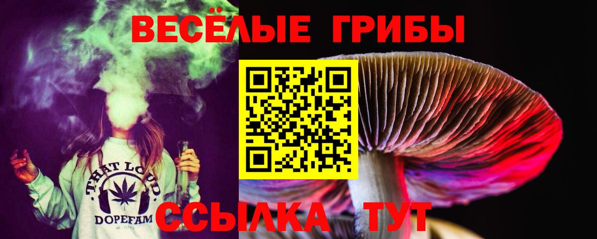 Галлюциногенные грибы прущие грибы Новошахтинск